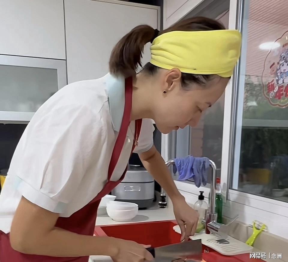 美狮贵宾厅案例展示