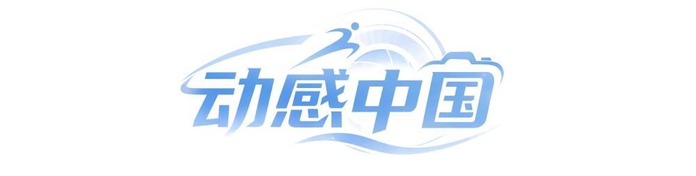 专业美狮贵宾会092服务